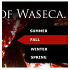 Waseca, MN Website Design and Branding